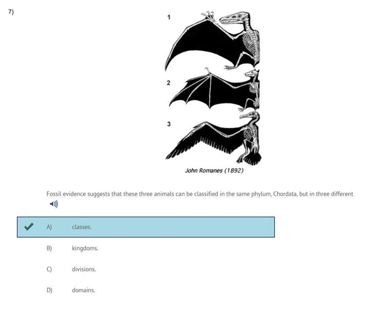 Fossil evidence suggests that these three animals can be classified in the same phylum-example-1