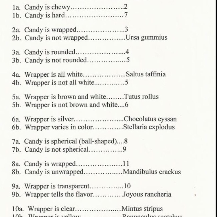 What are examples of dichotomous key?-example-1