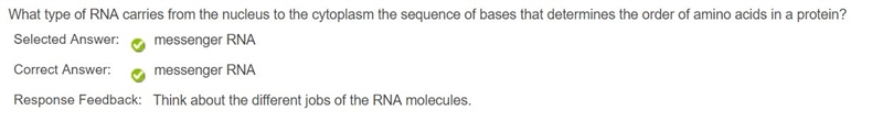 What type of RNA carries from the nucleus to the cytoplasm the sequence of bases that-example-1