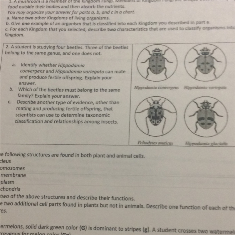 Letter 2 and B please for number 2-example-1