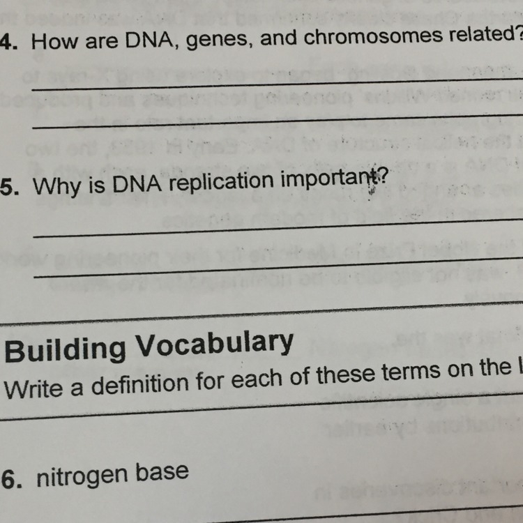 How are DNA, genes, and chromosomes related?-example-1