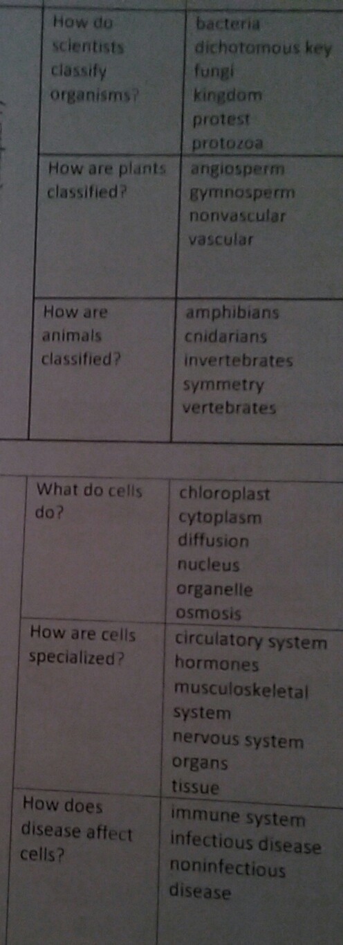 DUE TOMORROW !!!! can someone answer these questions using all the vocab words-example-1