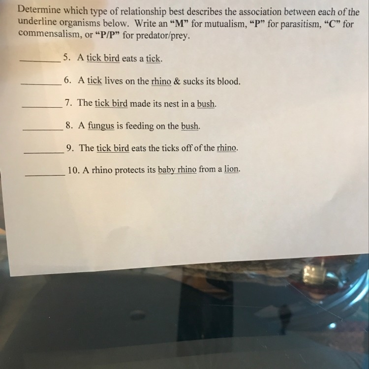 Please help ASAP!! This is homework meaning die tomorrow!!-example-1