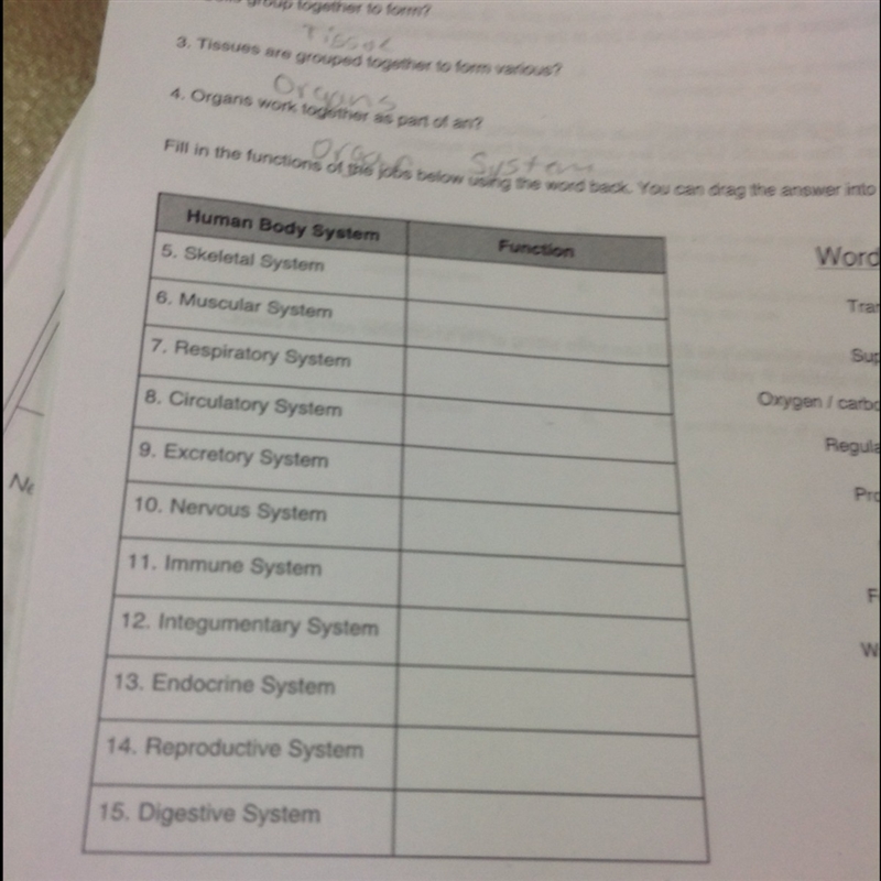 Fill in the blanks Word bank Transport Support Oxygen/Carbon Dioxide exchange Regulation-example-1