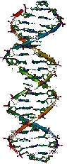 In 1953, who developed the model that is shown below?-example-1