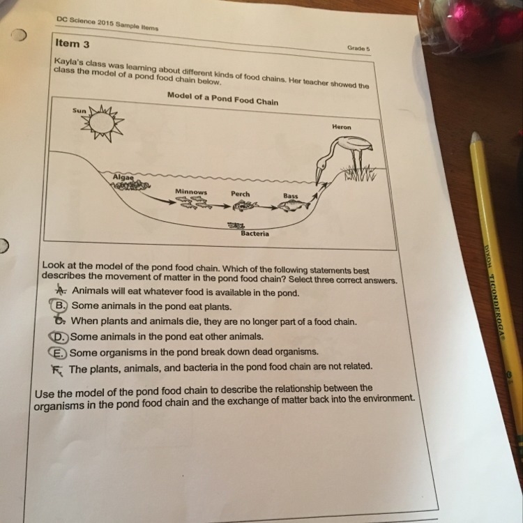 I need help on the last question-example-1