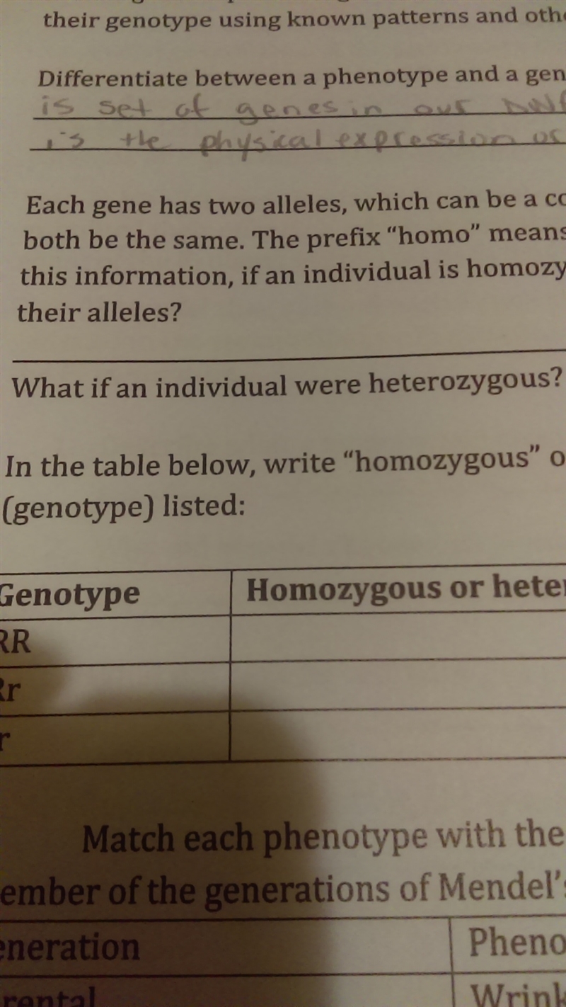 What if an individual were heterozygous-example-1