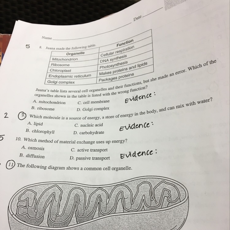 Help with number nine, and explain why please-example-1