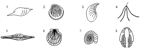 Figure 1: Rock Layers-example-2