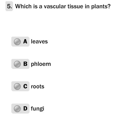 Biology help? ..............................-example-1