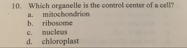 Please i need the answer help-example-1