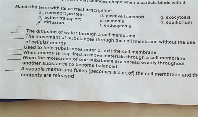 what is the answer to the movement of substances through the cell membrane without-example-1