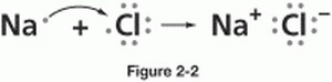 What type of bonding is represented in the figure (Picture attached)-example-1