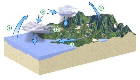 At which step of the water cycle does water change from one state to another within-example-1