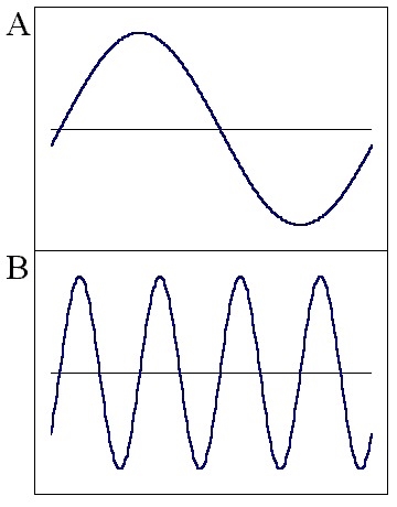 Look at the image below. a Which of the following statements is true? Question 3 options-example-1