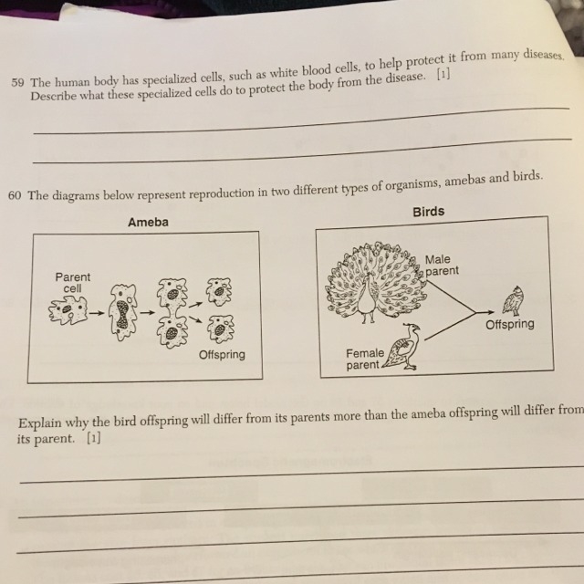 Please help for 10 points-example-1