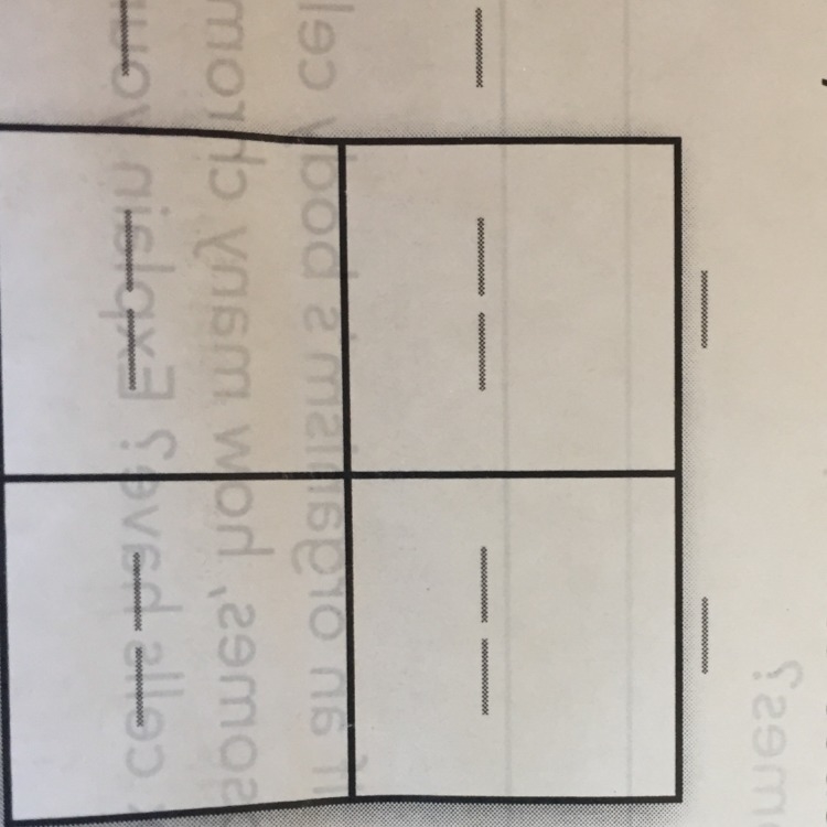 Fill in the pinned square below to show a cross between two guinea pigs that are heterozygous-example-1