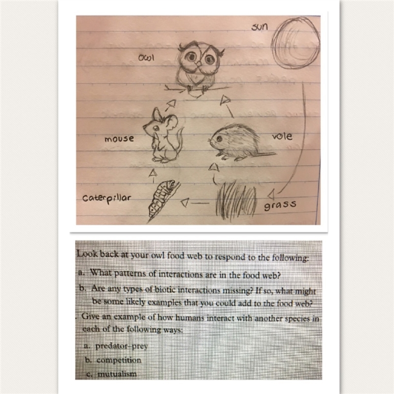 Please help if you don't mind? (7th Grade Science)-example-1