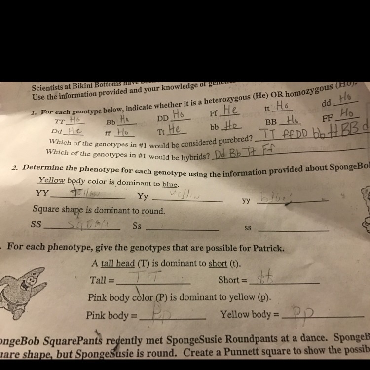 Please help with number two and three!!! Thanks-example-1