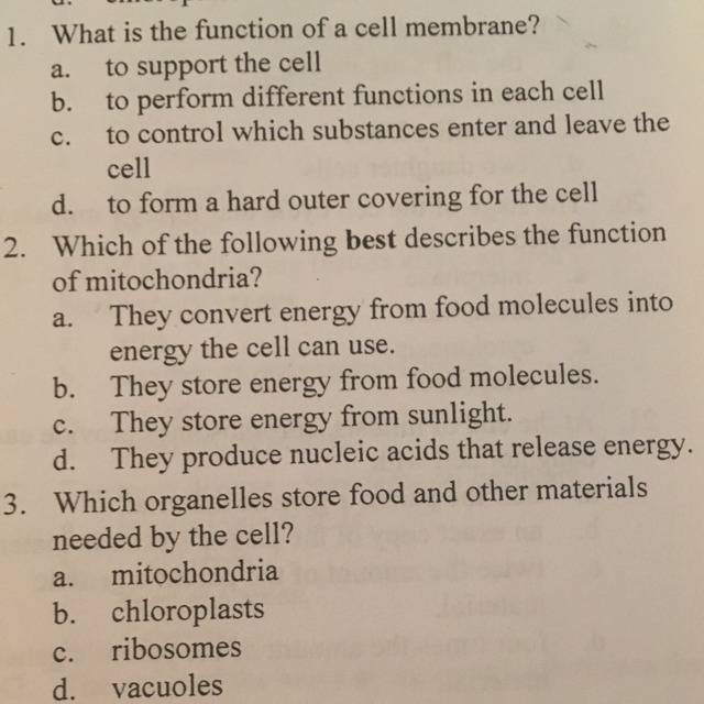 Please help me with this 3 questions-example-1