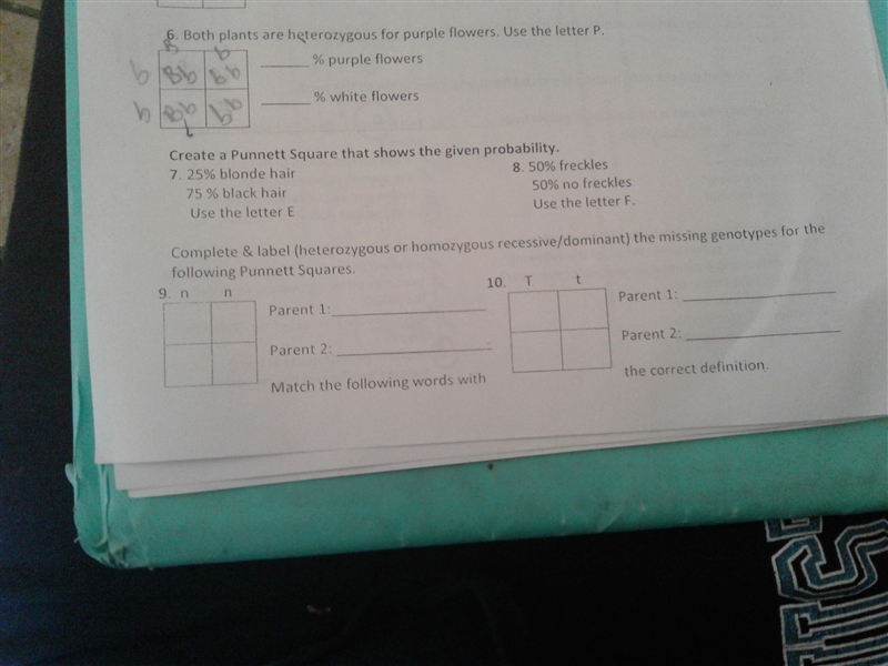 Can someone help with 7 and 8 ,9 and 10 plz-example-1