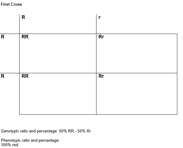 What conclusions can you draw about the results of your first cross between a homozygous-example-1