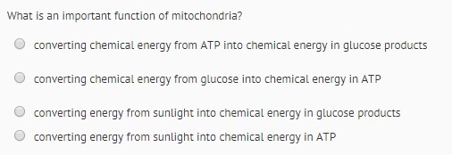 What is the main function of mitochondria-example-1