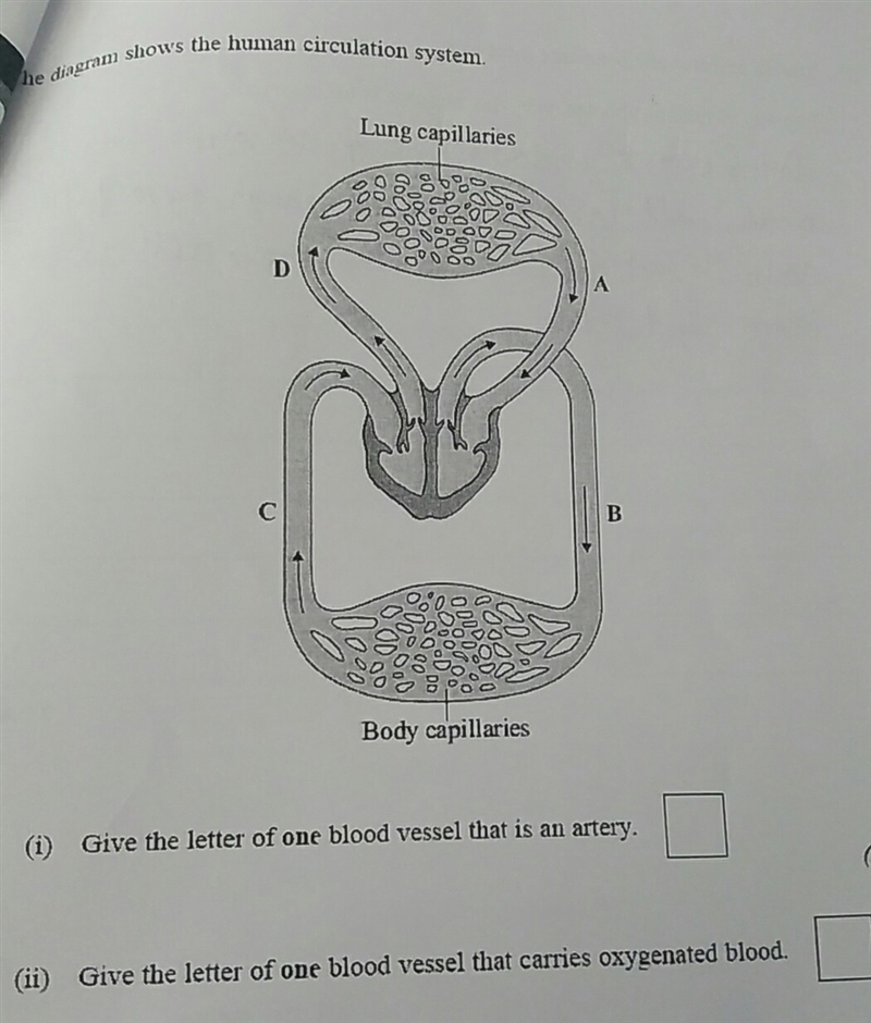 Please help with this diagram-example-1