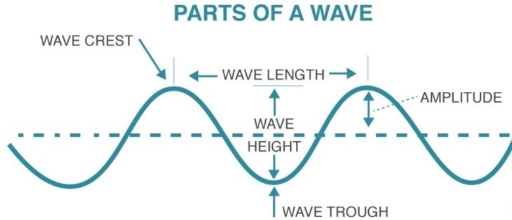 The amplitude of a wave is most directly related to what wave characteristic? Crest-example-1