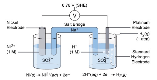 Look at the diagram of an electrochemical cell below. (picture below) Which part of-example-1