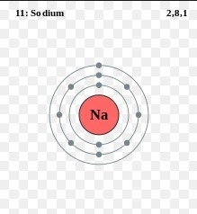 Consider the model of a sodium atom. Which feature does the model show accurately-example-1