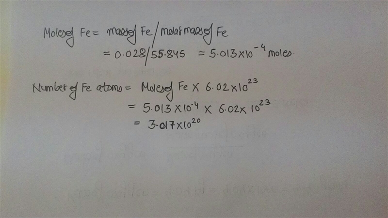 How many atoms are there in .028g of Fe?-example-1