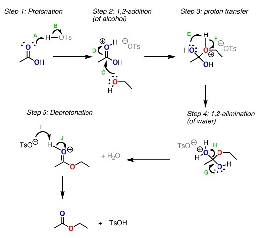 Write a detailed mechanism for the formation of ethyl acetate from ethanol and acetic-example-1