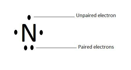 There are ________ paired and ________ unpaired electrons in the lewis symbol for-example-1