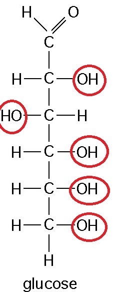 Glucose (c6h12o6) has a single carbonyl group (-c=o) in its linear form. based on-example-1