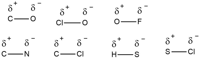 What is the appropriate delta notation for each bond? C-O O-Cl O-F C-N Cl-C S-H S-example-1