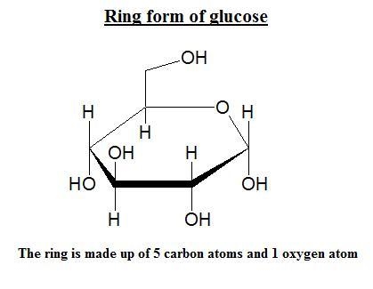 Which atoms make up the ring in the cyclic form of glucose? A) 5 carbon atoms B) 5 carbon-example-1