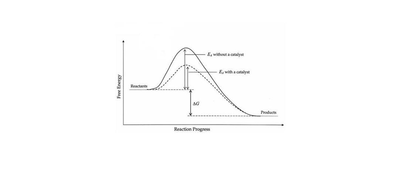 The addition of a catalyst to a chemical reaction provides an alternate pathway that-example-1