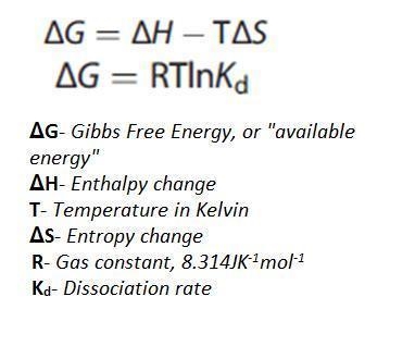 Which of the following is the correct representation of Gibbs’ Free Energy equation-example-1