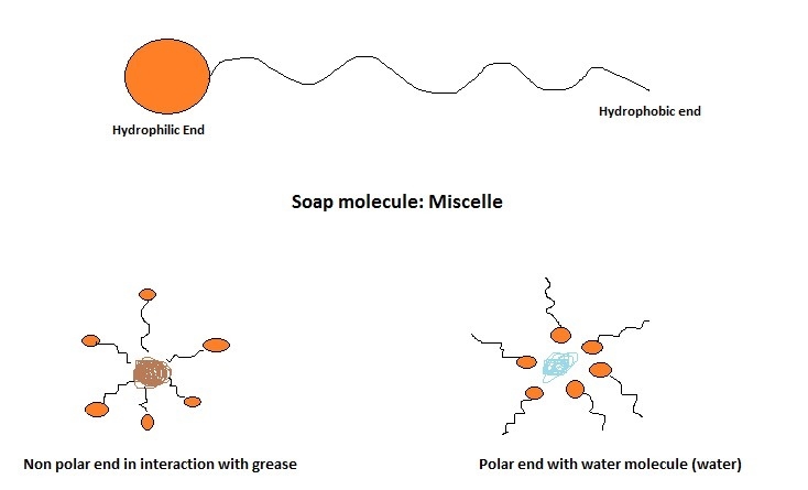 When applied to a dish, soap makes grease soluble in water. Which explanation correctly-example-1