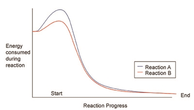 The graph above shows the progress of a chemical reaction. Based on the graph, which-example-1