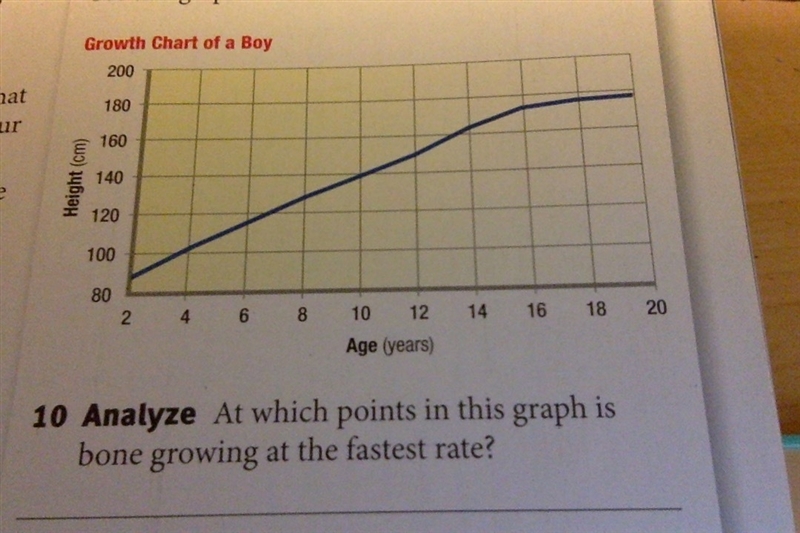 At Which points in this graph is bone growing at the faster rate?-example-1