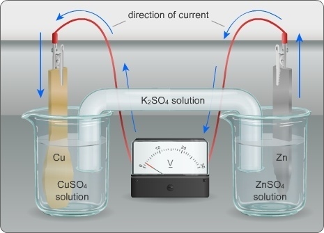 On the basis of the diagram, which of the following statements is true? a. Sulfate-example-1