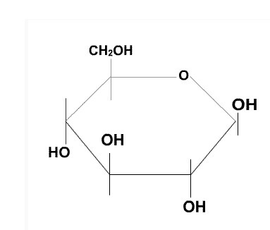 What type of molecule is the compound shown in the diagram? monosaccharide disaccharide-example-1