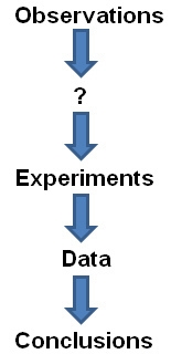 The following diagram shows a common way that scientific knowledge is discovered. mc-example-1