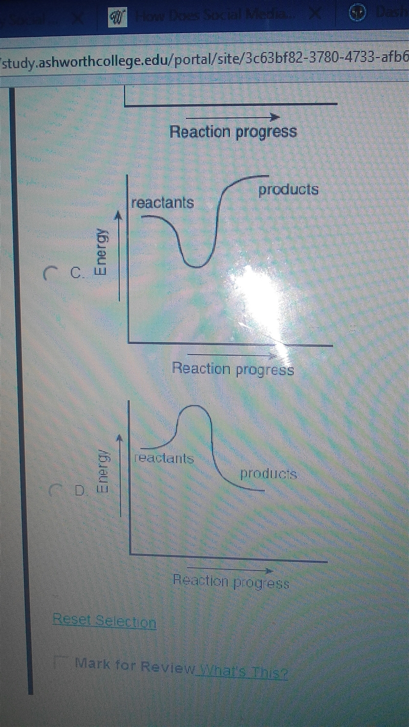 Which of the following diagrams correctly shows the reaction pathway of a reaction-example-1