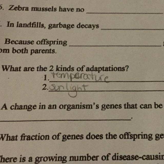 Zebra mussels have no???-example-1