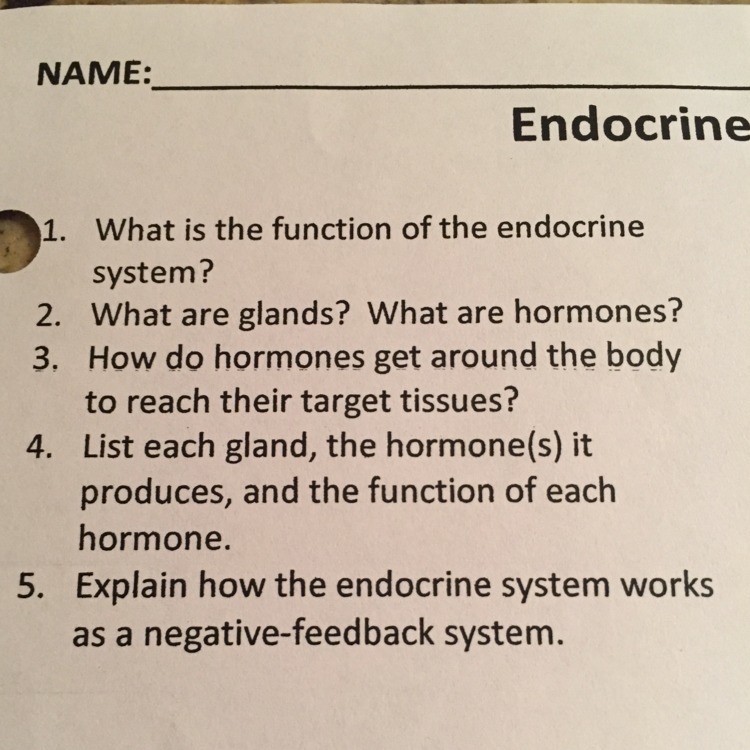 Can someone help me with 1,2,3,5?-example-1