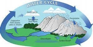 Which two processes are responsible for water's transfer of transfer of energy in-example-1