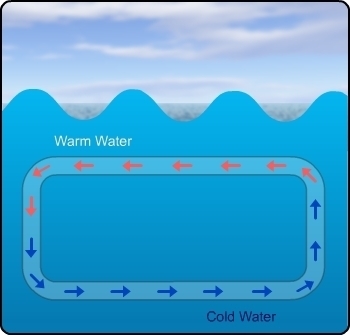 What mechanism is responsible for the movement of water in this image? A. wind B. Coriolis-example-1